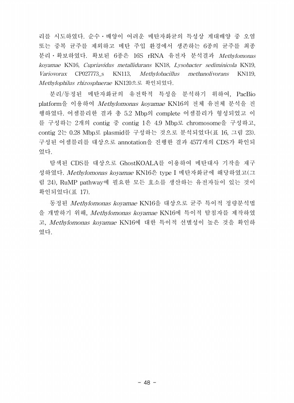 48페이지