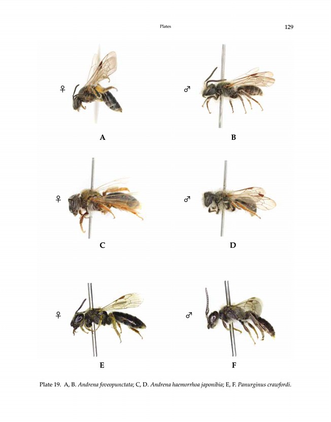 129페이지