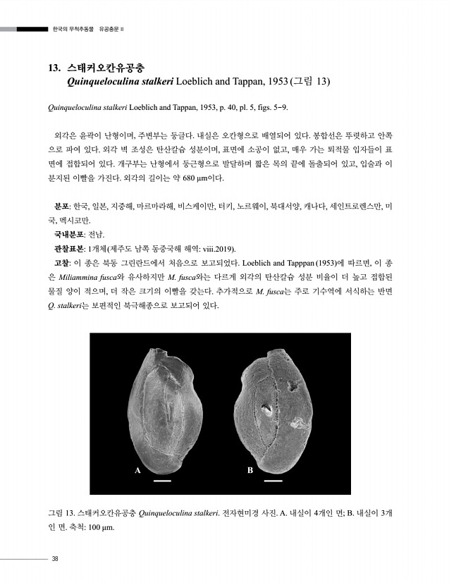 40페이지