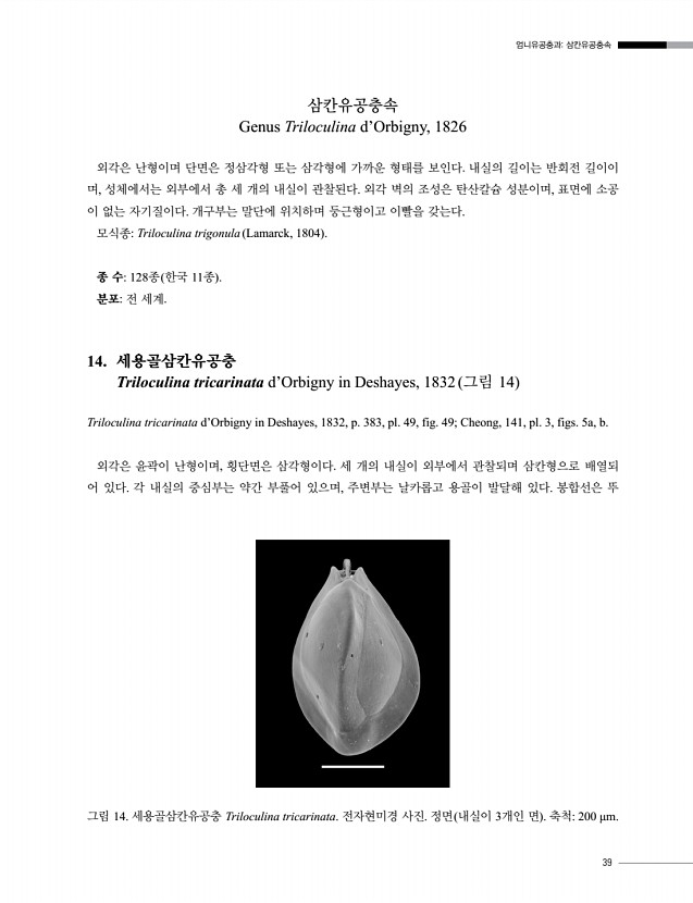 41페이지