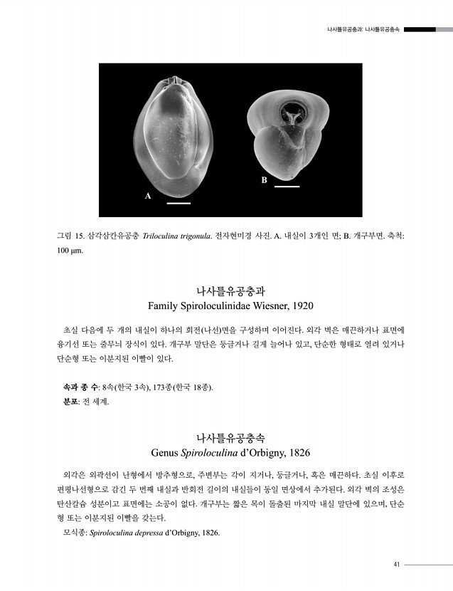 43페이지