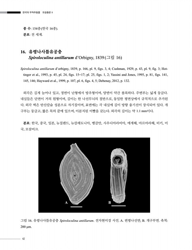 44페이지