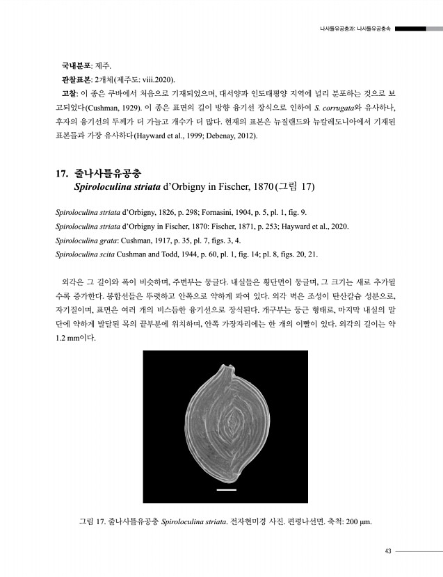 45페이지