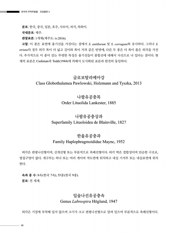 46페이지