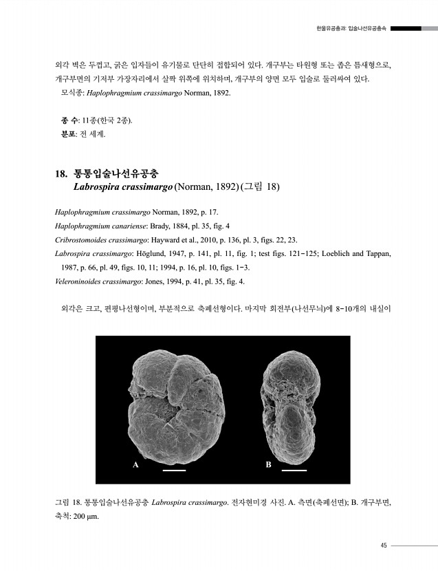 47페이지