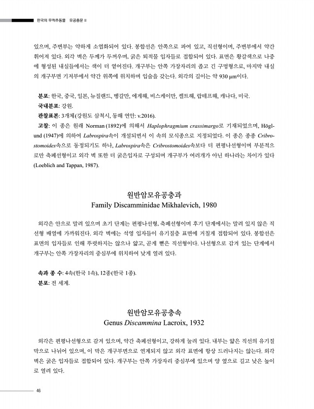 48페이지