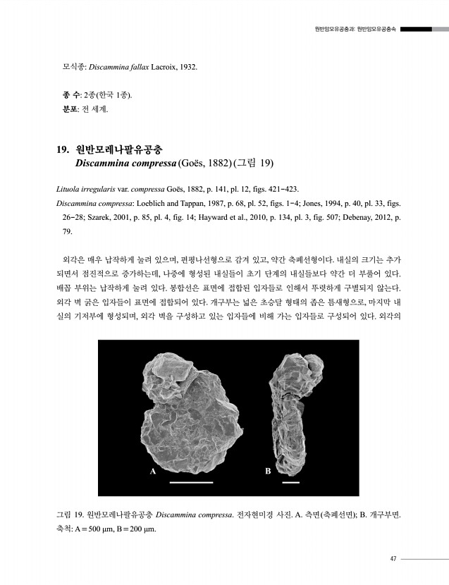 49페이지