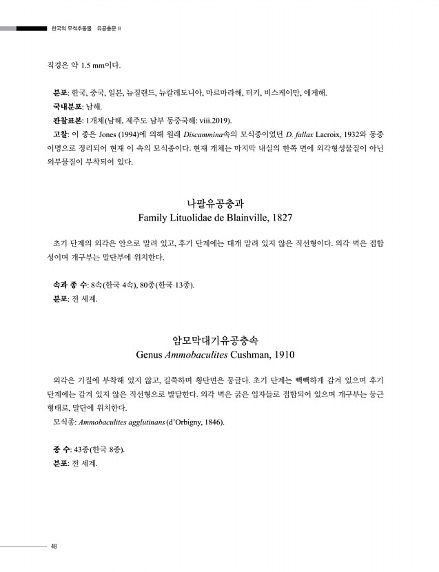 50페이지