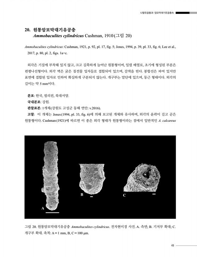 51페이지