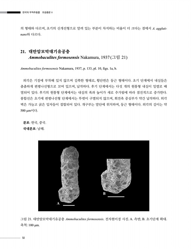 52페이지