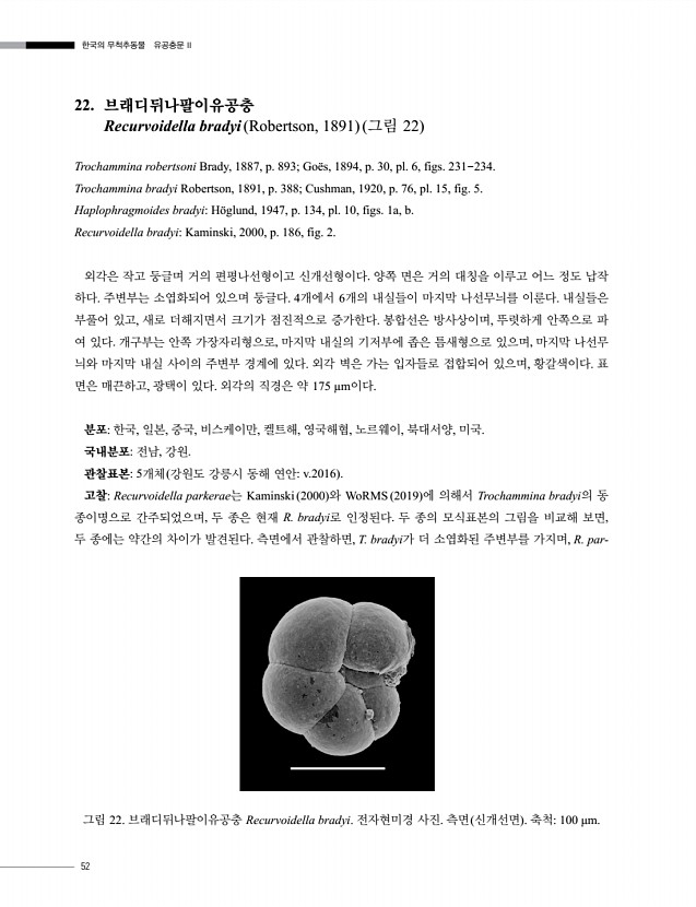 54페이지