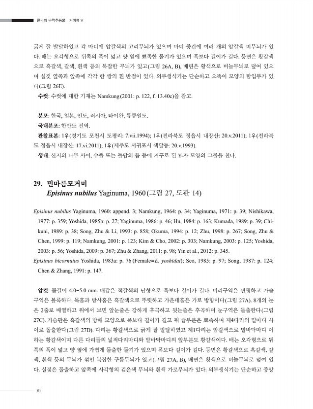 60페이지