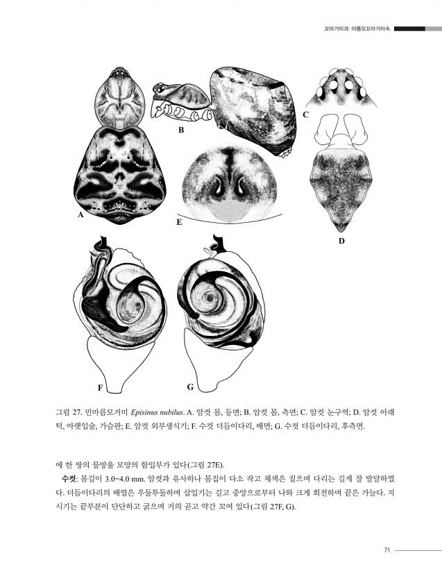 61페이지