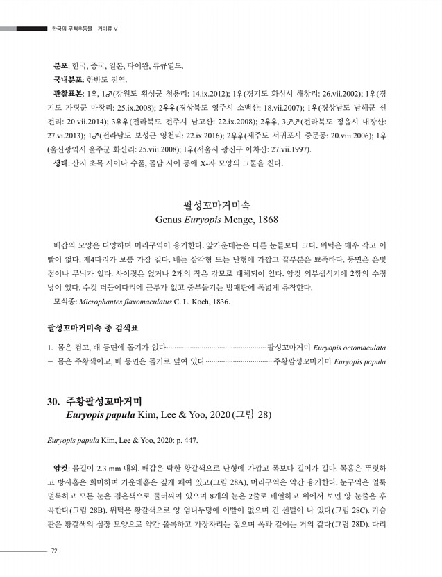 62페이지