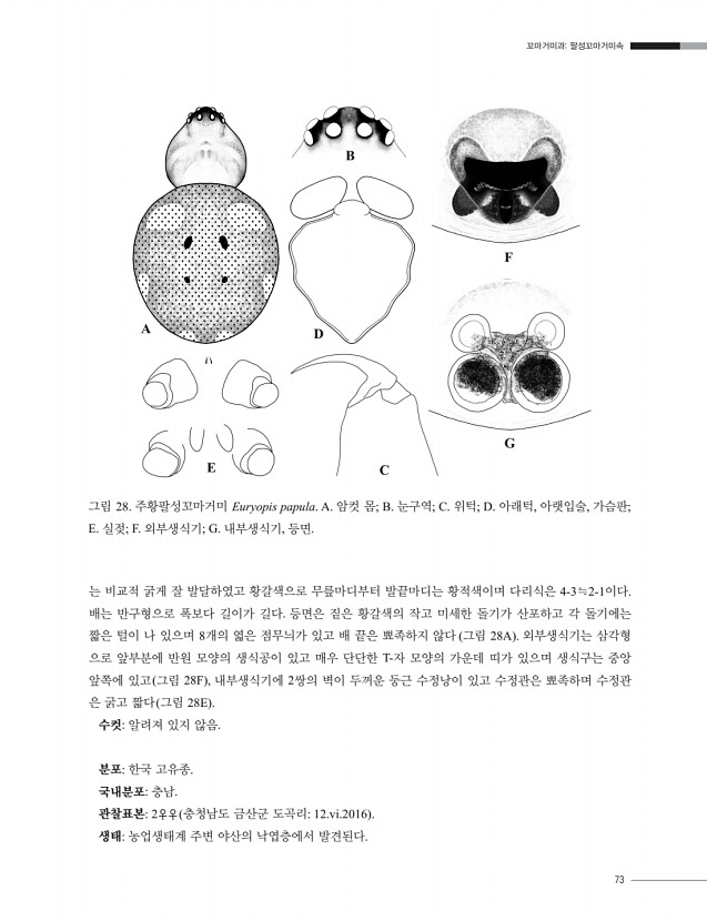 63페이지