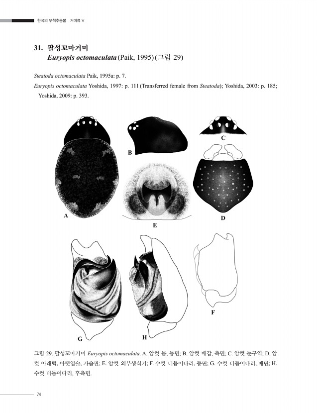 64페이지