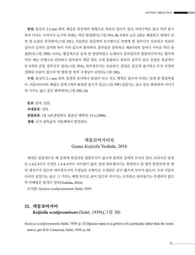 65페이지