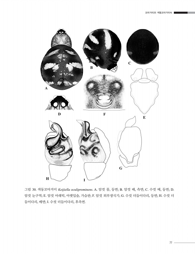 67페이지