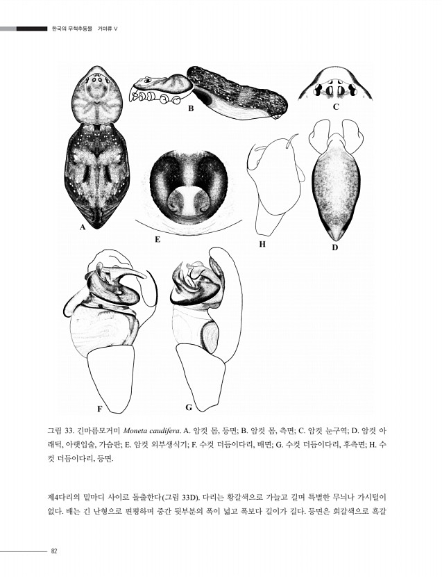 82페이지