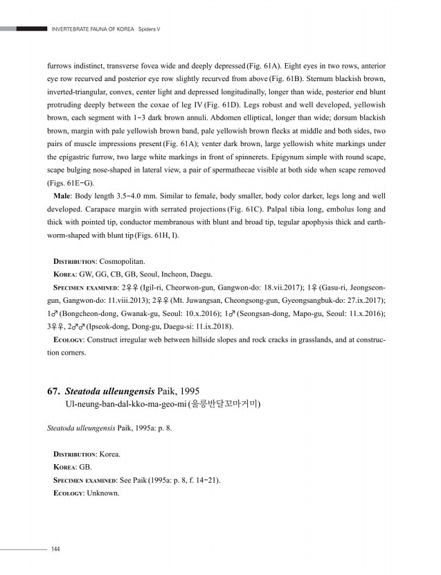 144페이지