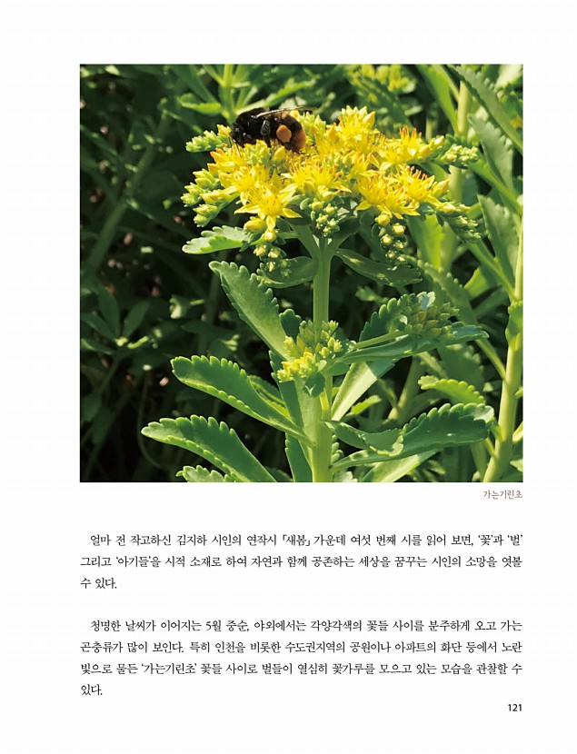 119페이지