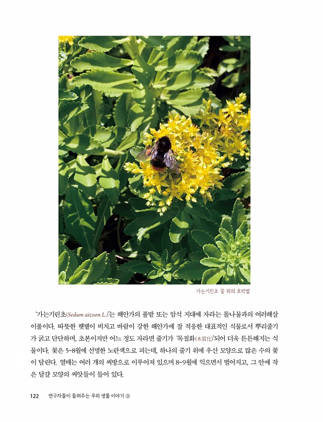 120페이지