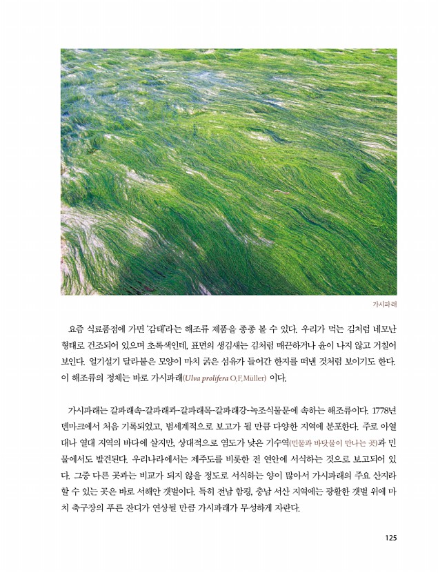 123페이지