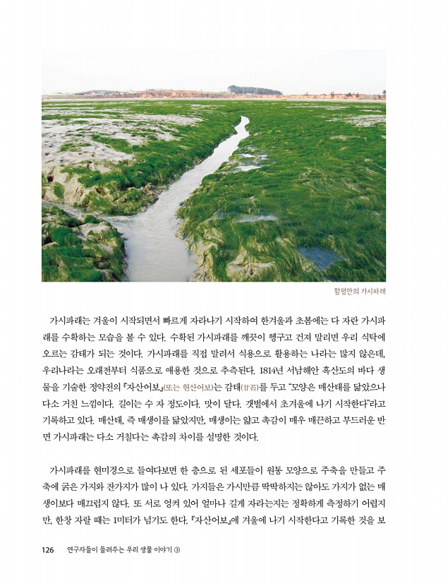 124페이지