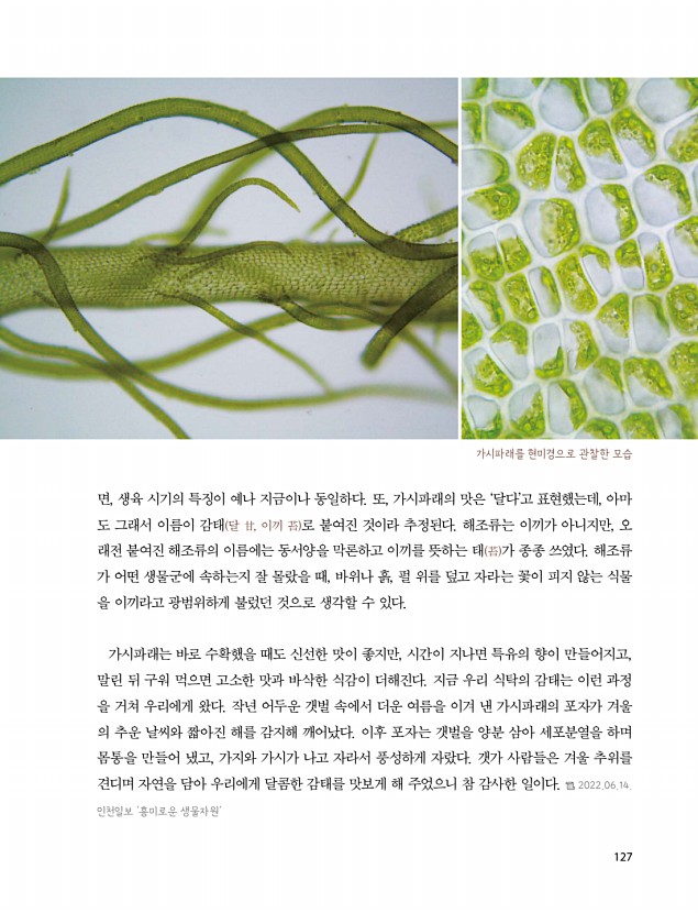 125페이지