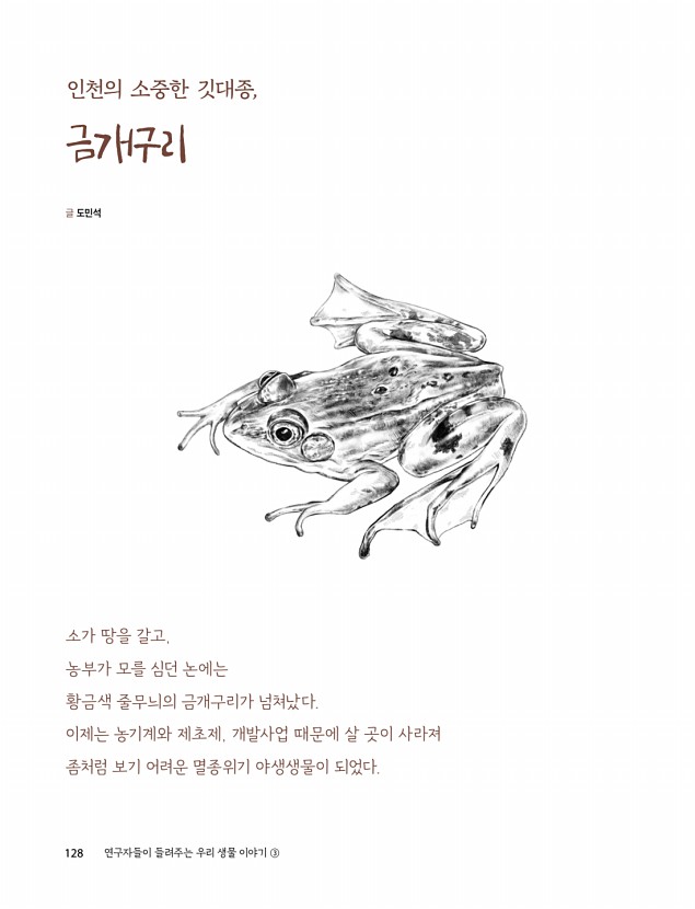 126페이지