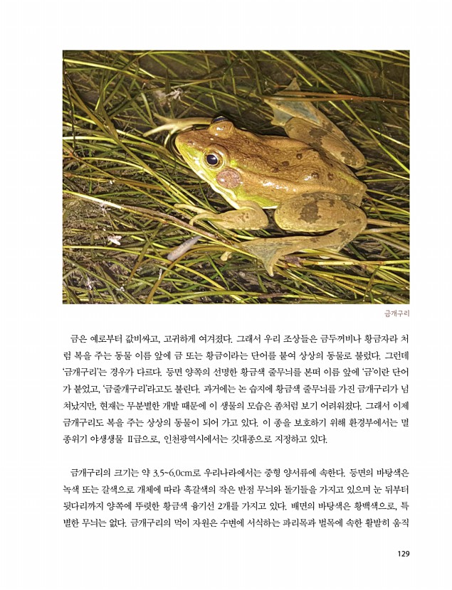 127페이지