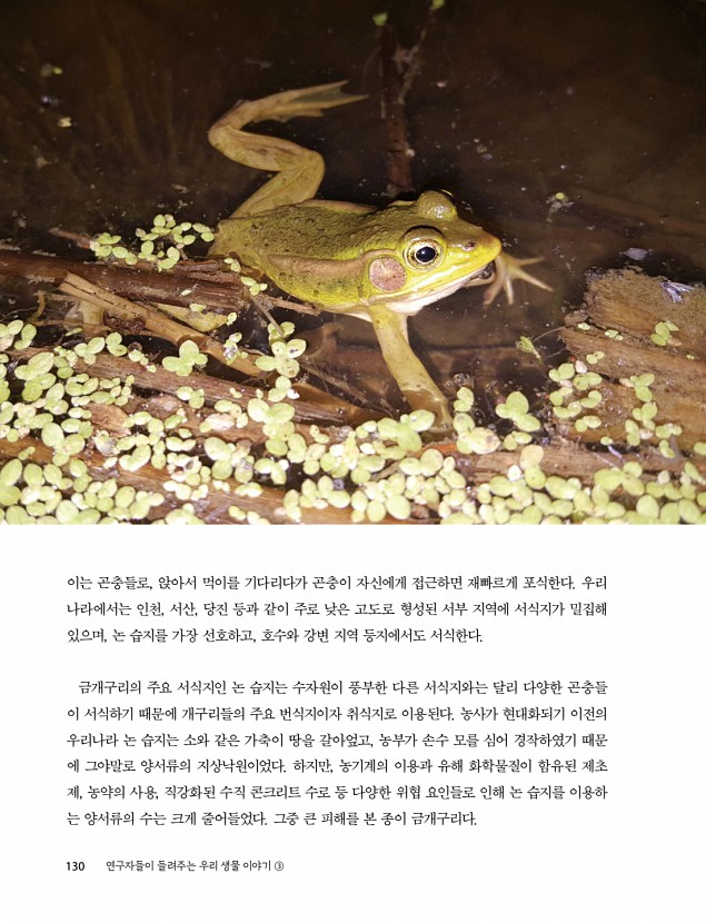128페이지