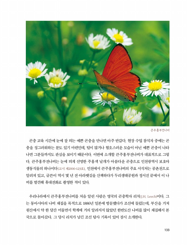 131페이지