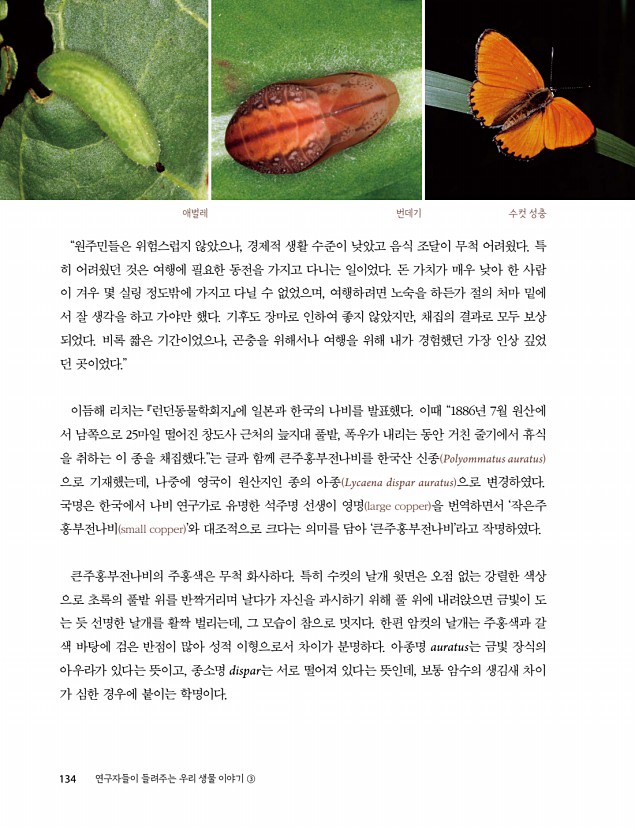 132페이지