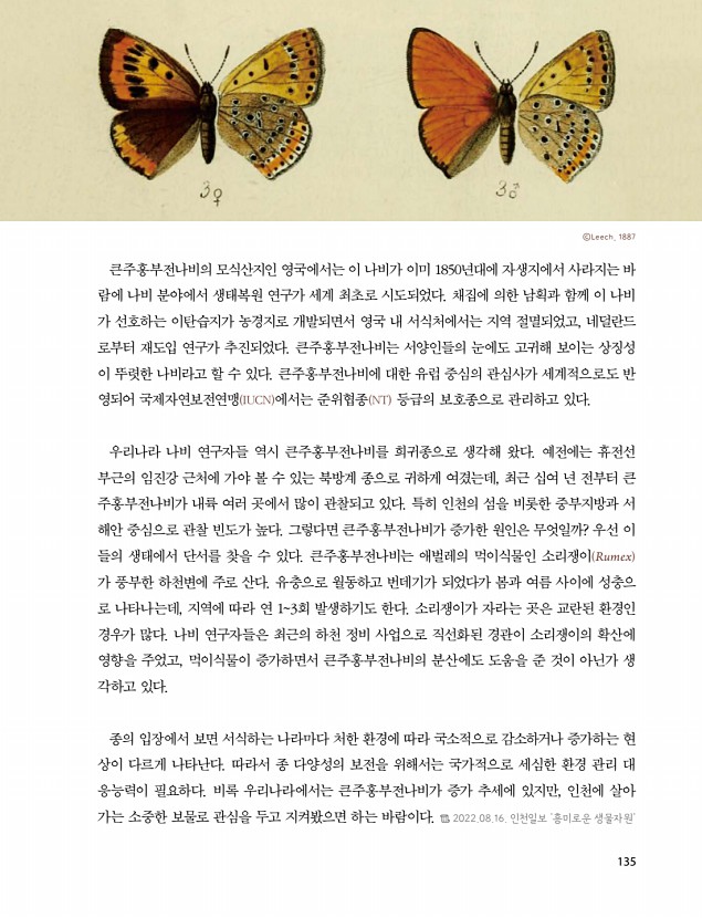 133페이지