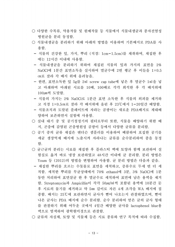 13페이지