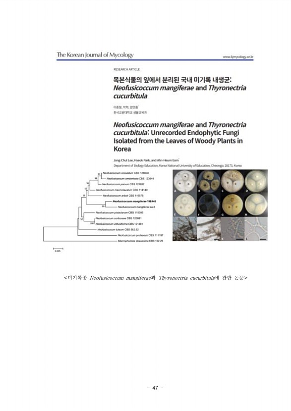 48페이지