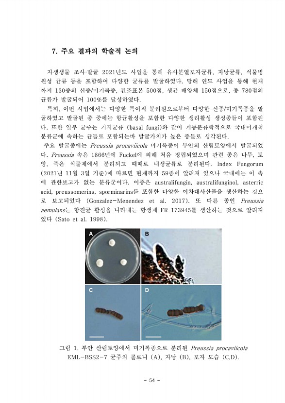 55페이지
