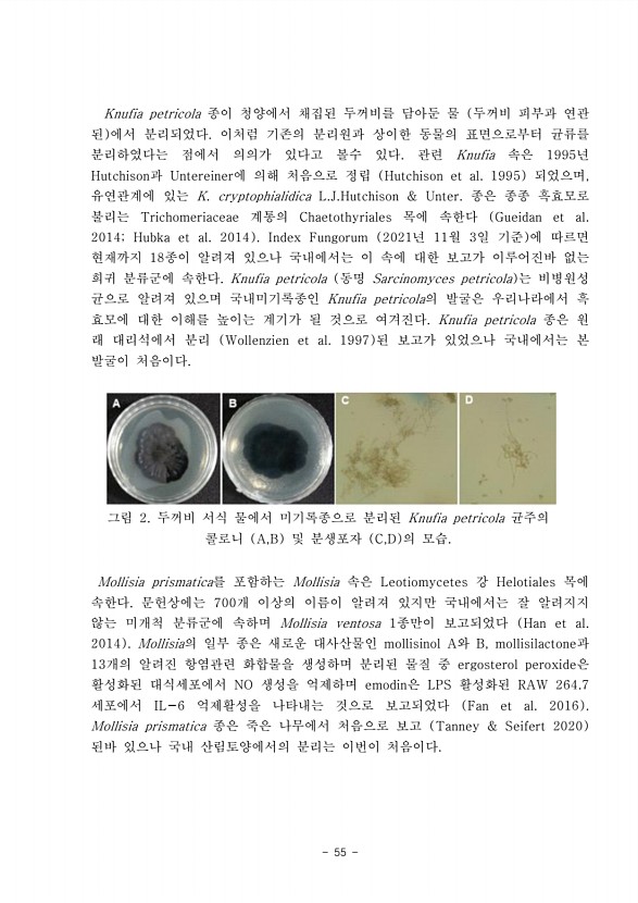 56페이지
