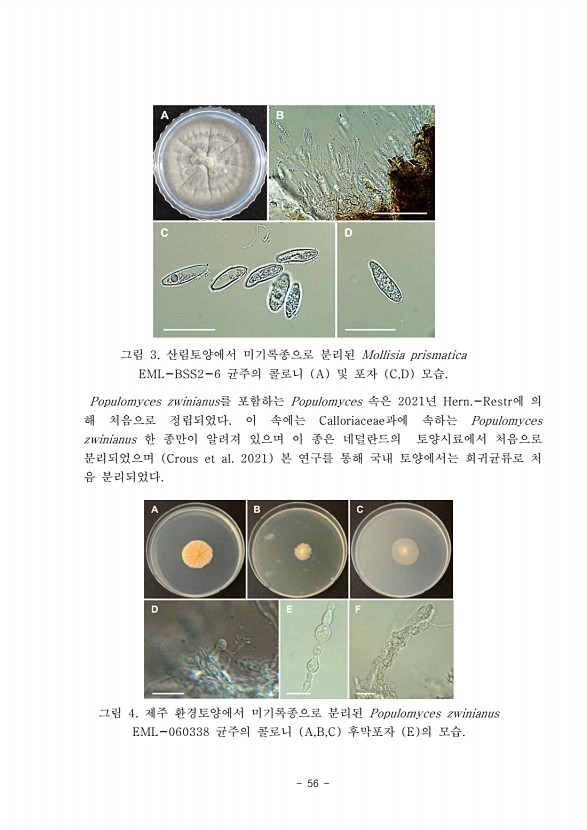 57페이지