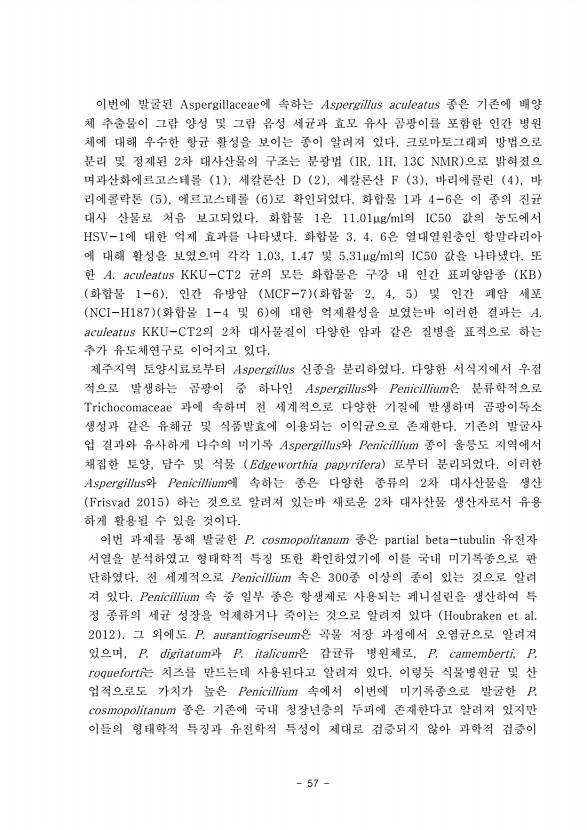 58페이지