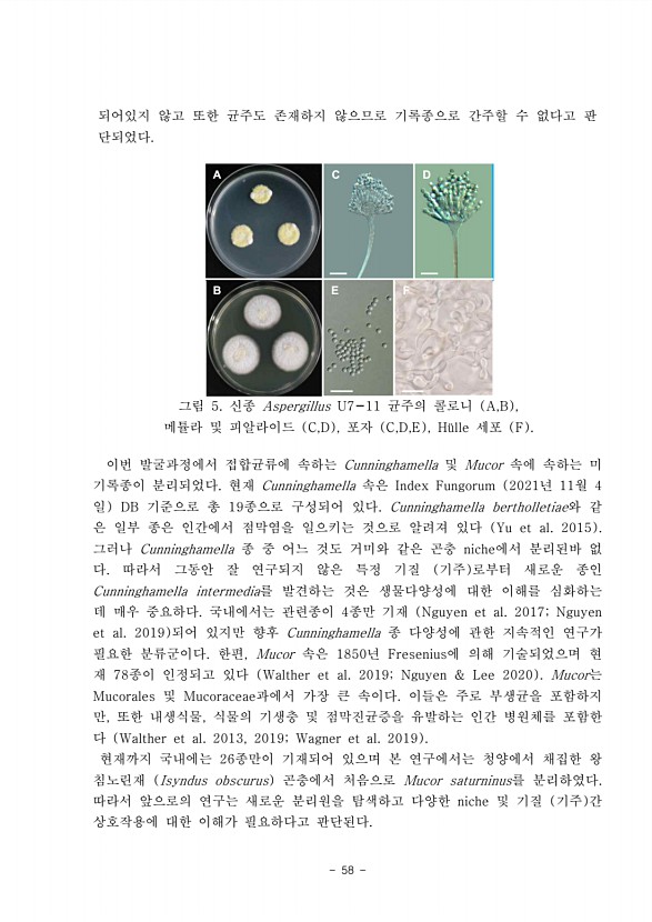 59페이지