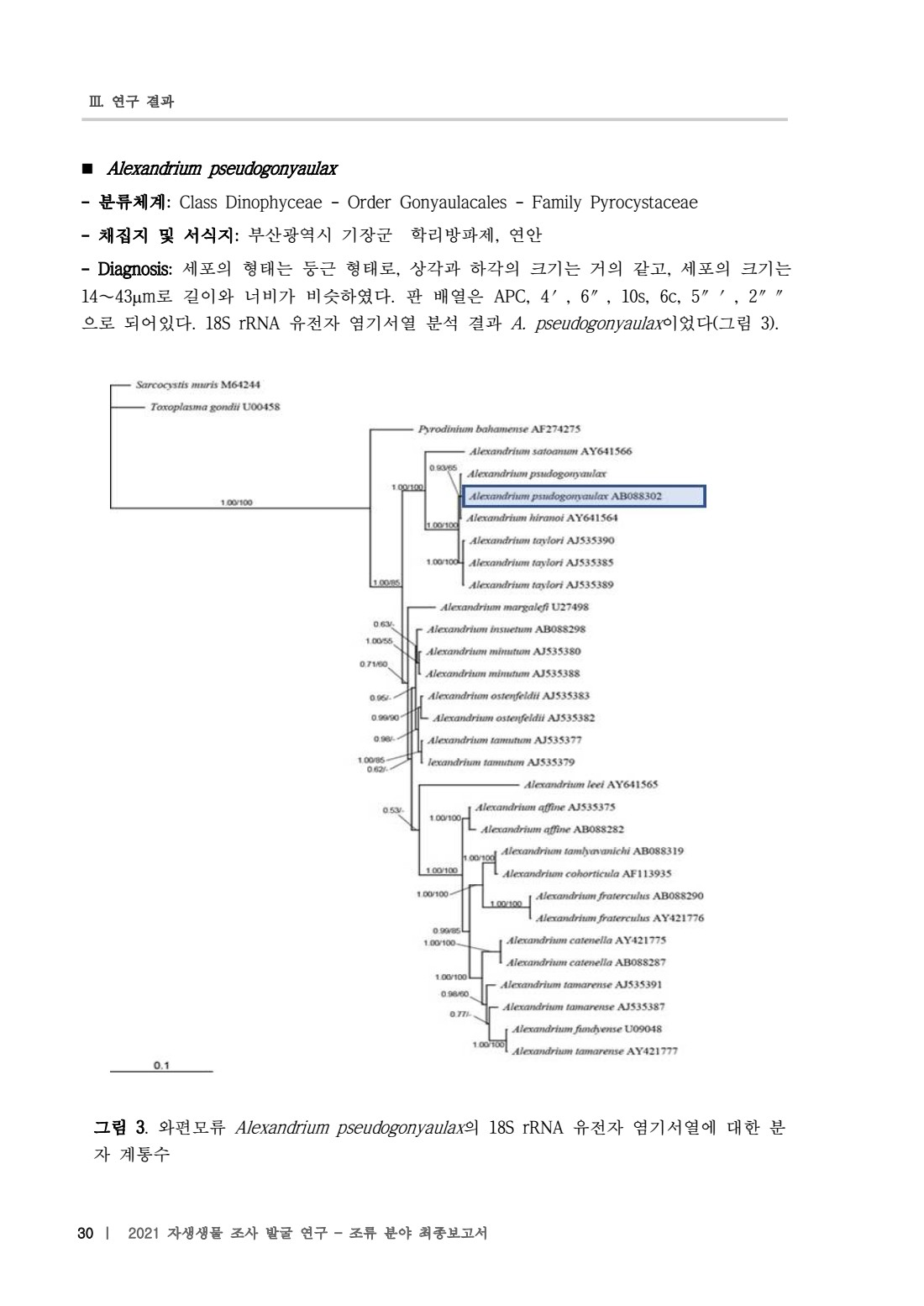 페이지