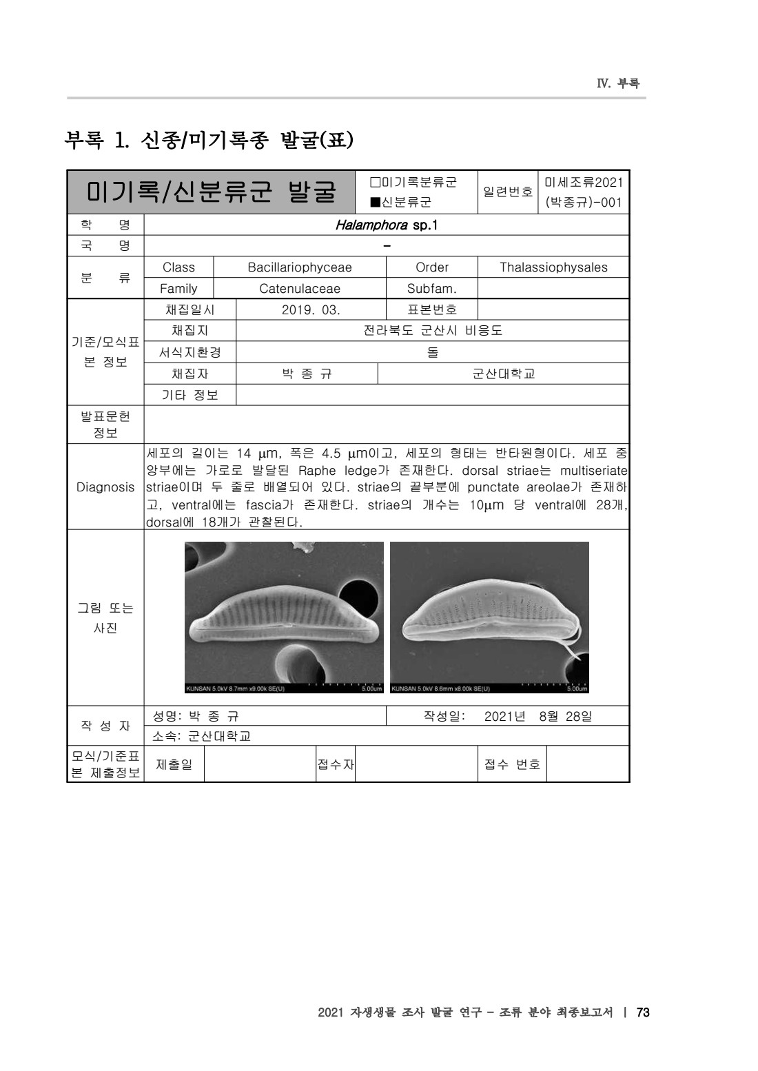 페이지