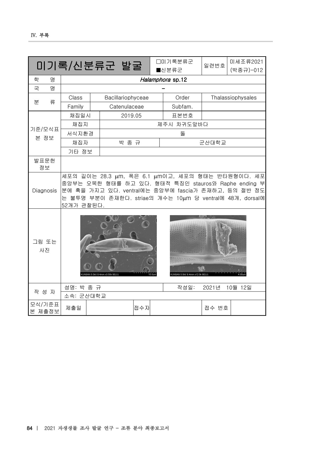 페이지