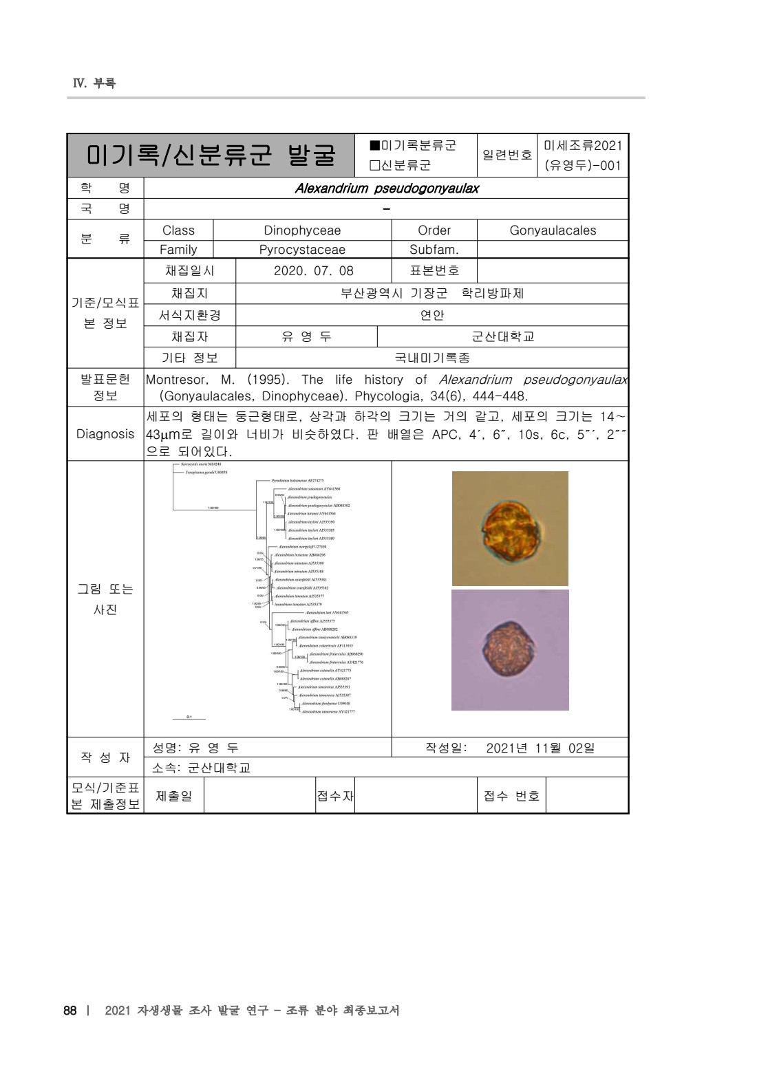 페이지