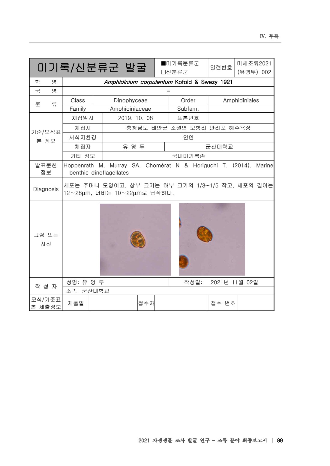 페이지