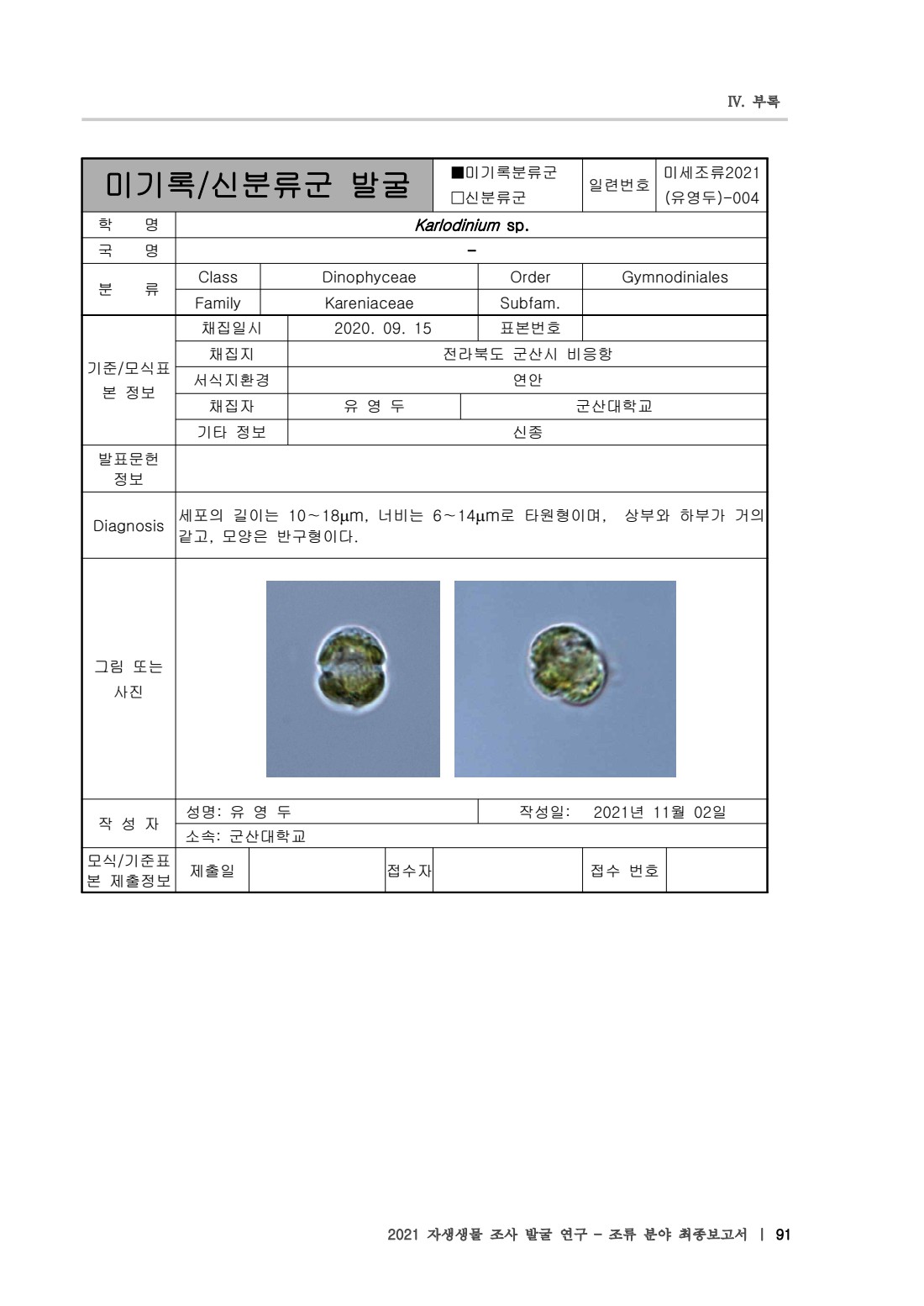 페이지