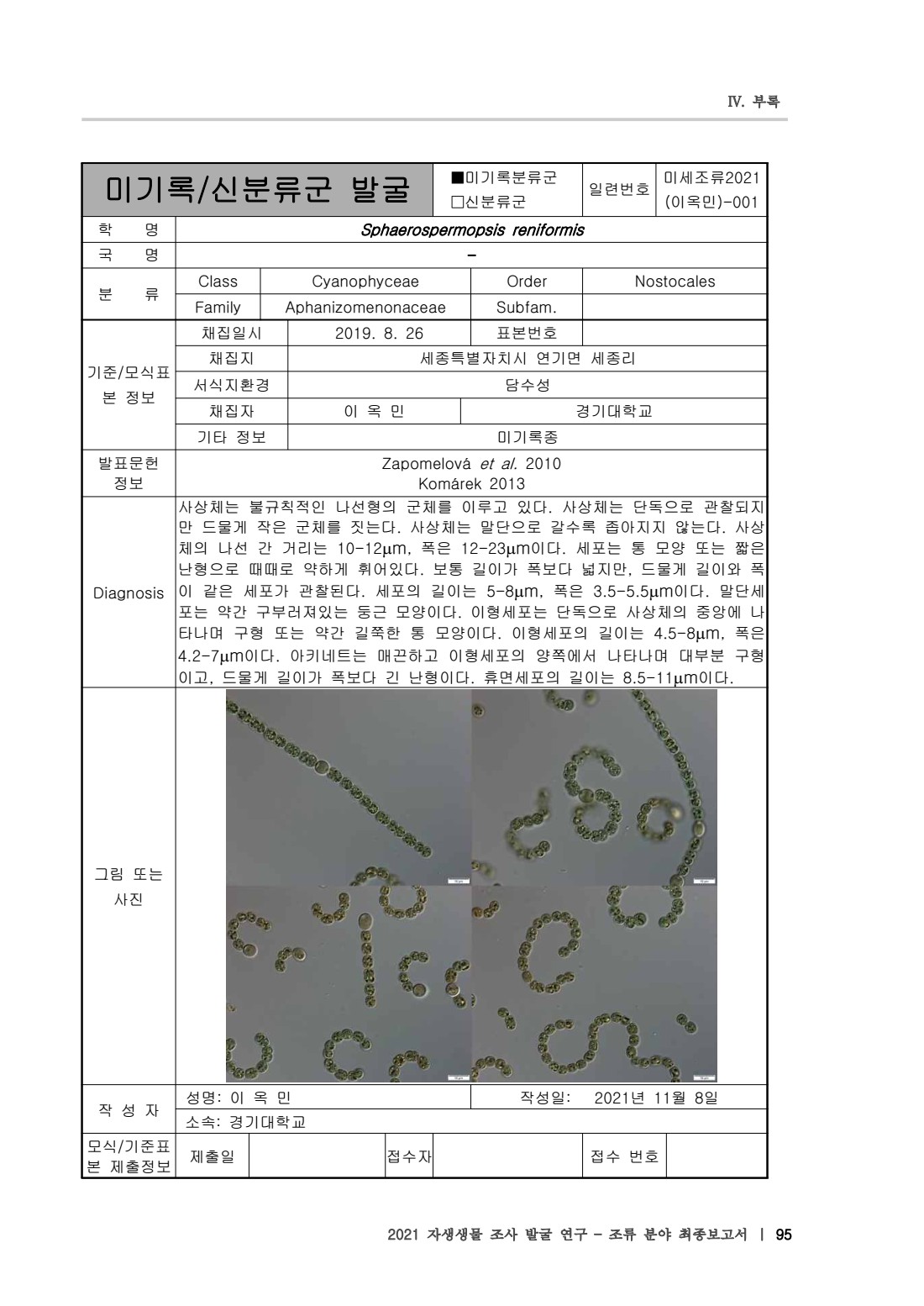페이지