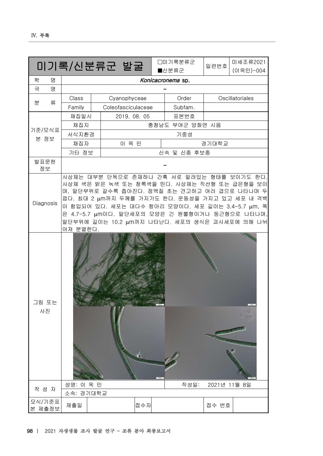 페이지